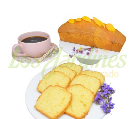 BUDIN DE VAINILLA X KG..