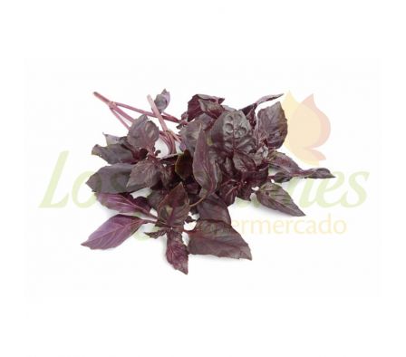 ALBAHACA MORADA X UNID..-