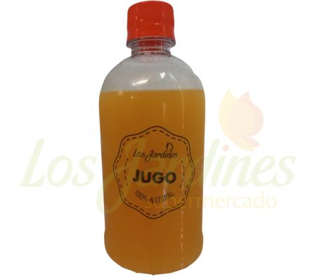 JUGOS NATURALES x 800 ML