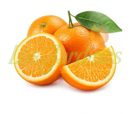 NARANJA FRUTIKA X KG