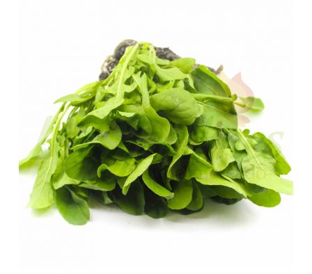 RUCULA HIDROPONICA X MAZO