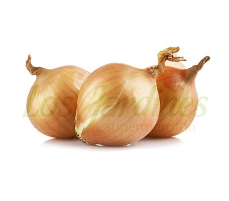 CEBOLLA BLANCA X KG