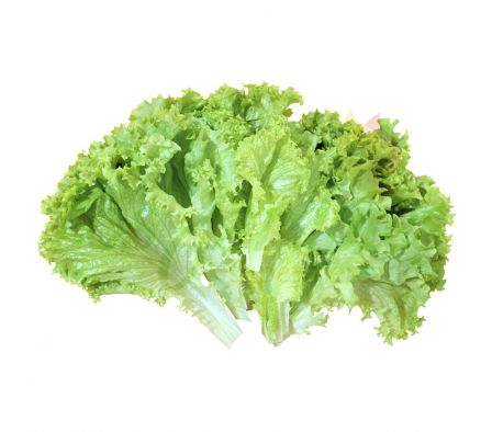 LECHUGA NACIONAL X UNID.