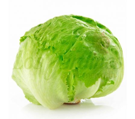LECHUGA REPOLLADA X KG
