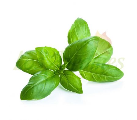 ALBAHACA X UNID...---