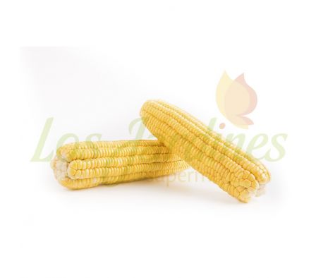 CHOCLO EN ESPIGA X UNID..-