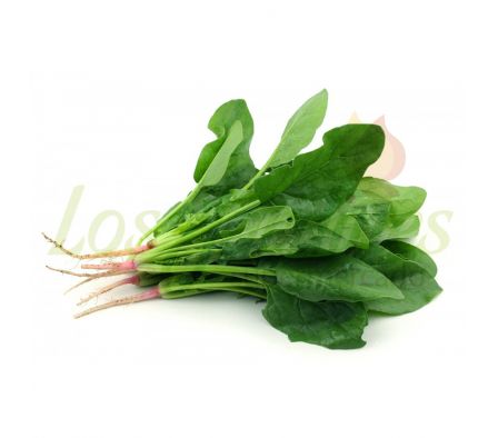 ESPINACA X UNID,,.------