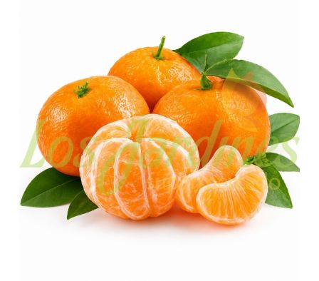 MANDARINA NACIONAL PYTA