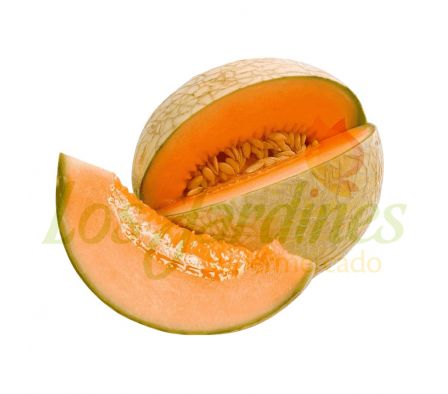 MELON JAPONES X KG