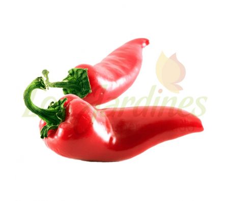 AJI PICANTE X KG. ENV.- 1369-
