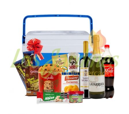 CONSERVADORA 19 LTS 2025