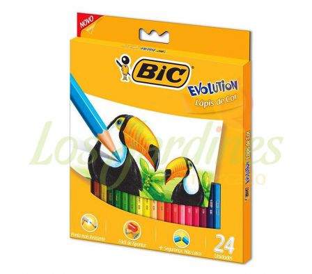 LAPIZ DE COLOR BIC 24UN