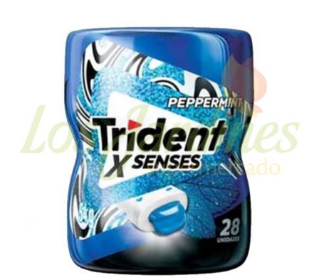 CHICLE TRIDENT HORTELA POTE 28U