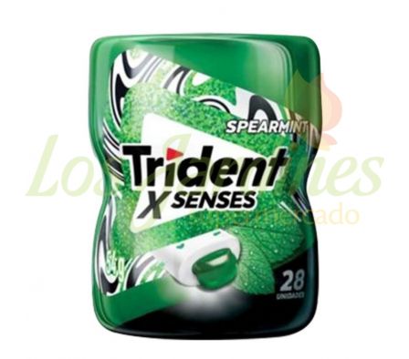 CHICLE TRIDENT MENTA POTE 28U