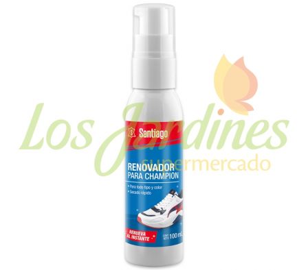 ESPUMA LIMPIADORA PARA CHAMPION 100 ML