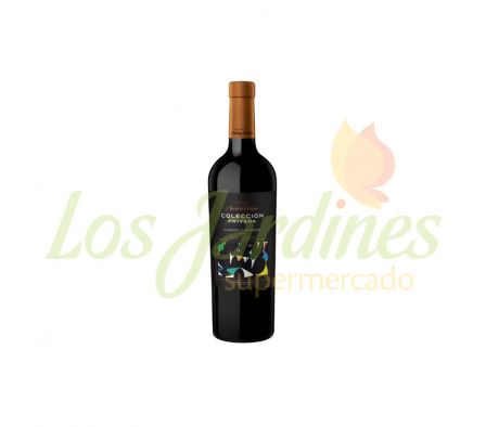 VINO NAVARRO CORREAS CABERNET SAUVIGNON 750ML