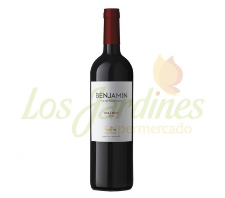 VINO BENJAMIN NIETO MALBEC 750 ML