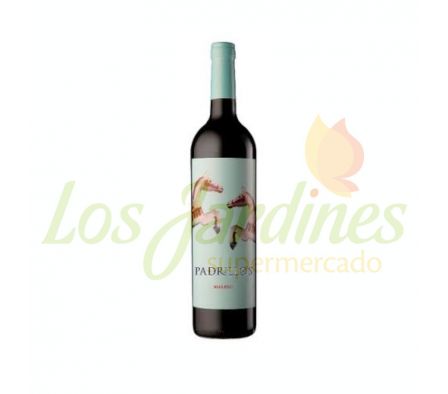 VINO ERNESTO CATENA VINEYARD PADRILLOS POINT NOIR