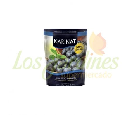 ARANDANOS KARINAT CONGELADOS 600G