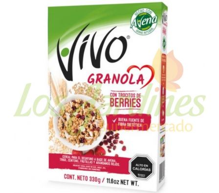 GRANOLA VIVO BERRIES 330G