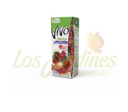 JUGO VIVO NECTAR BERRIES 190 CC
