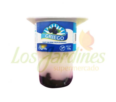 YOGURT GRIEGO LOS COLONOS ARANDANO 125G