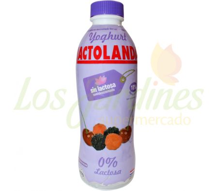 YOGHURT LACTOLANDA SIN LACTOSA FRUTOS ROJOS 900G