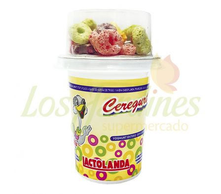 CEREGURT ÍANDU CON CEREALES FRUITS RINGS