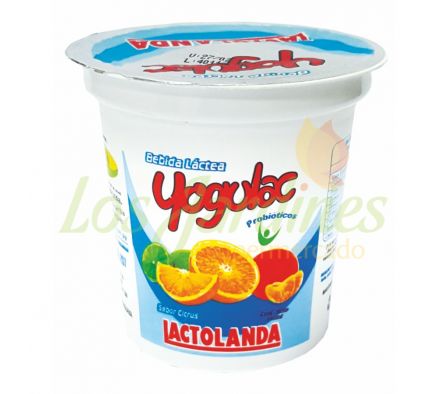 BEBIDA LACTEA YOGULAC CITRUS POTE 140 GRS