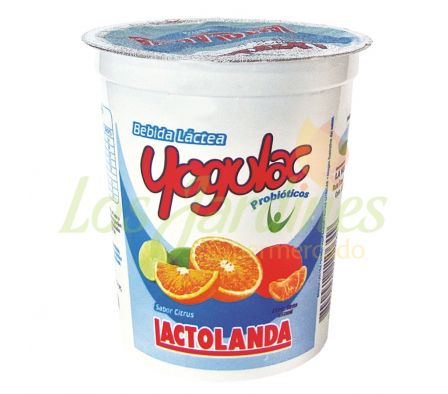 BEBIDA LACTEA YOGULAC CITRUS POTE 350 GRS