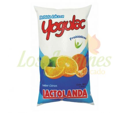 BEBIDA LACTEA YOGULAC CITRUS SACHET 1000 ML