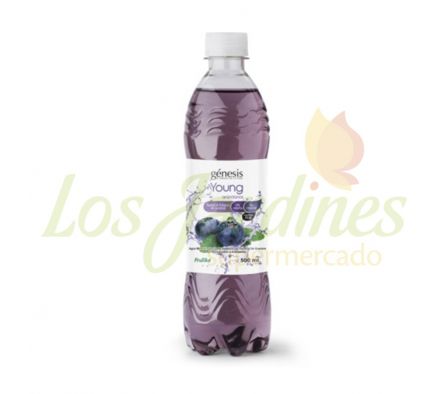 AGUA MINERAL SABORI DIET YOUNG ARANDANOS 500ML