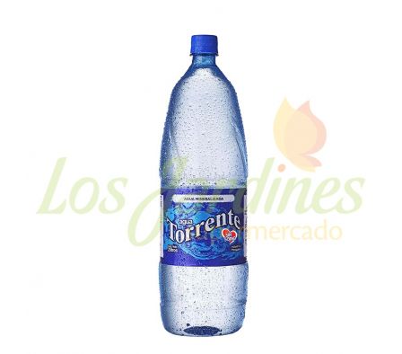 AGUA TORRENTE SIN GAS 2L