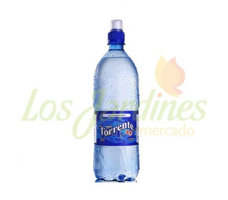 AGUA TORRENTE SIN GAS 1L