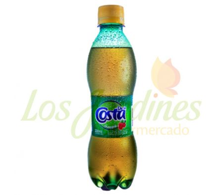 GASEOSA DE LA COSTA GUARANA 330ML