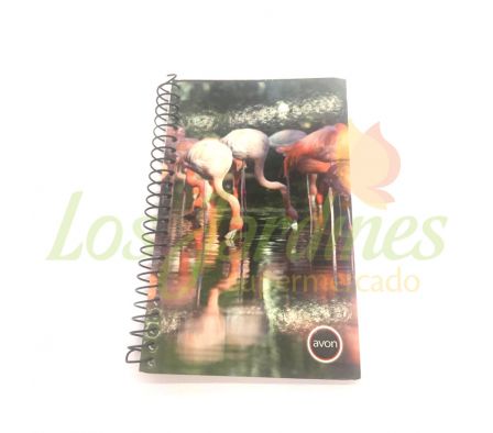 LIBRETITAS Nº 3 AVON 40 HOJAS