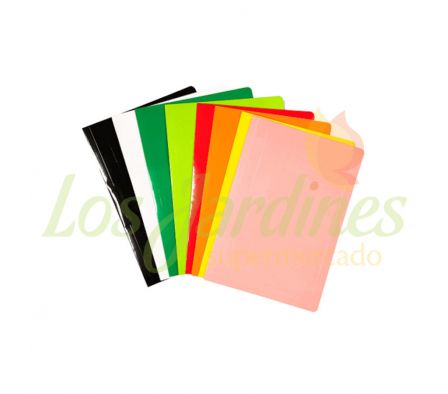 CARPETA ARCHIVADORA PLASTICO SURTIDO
