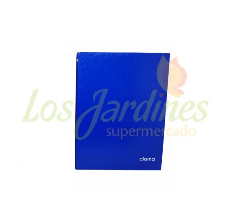 CUADERNO 178 HOJAS 1 RAYA AZUL AVON T.D. ARAÑA:-: