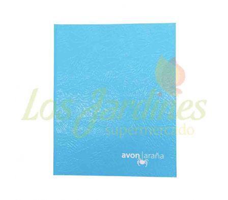 CUADERNO 48 HOJAS 2 RAYA CELESTE AVON T.D. ARAÑA:_