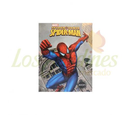 CUADERNO 48 HOJAS CUADRICULADO AVON  TD DISNEY