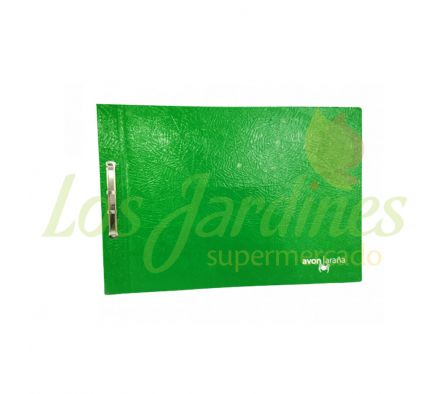 CARPETA DE DIBUJO ARAÑA Nº 2 VERDE AVON:-: