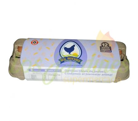 CAJA DE HUEVOS SOLHUEVOS 12U