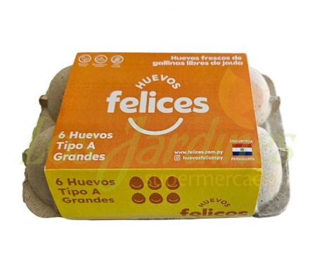 HUEVOS DE GALLINA TIPO A - PAQ.X  6 UNID