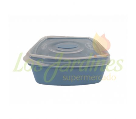 FERIA PLASVALE RF.BIG.