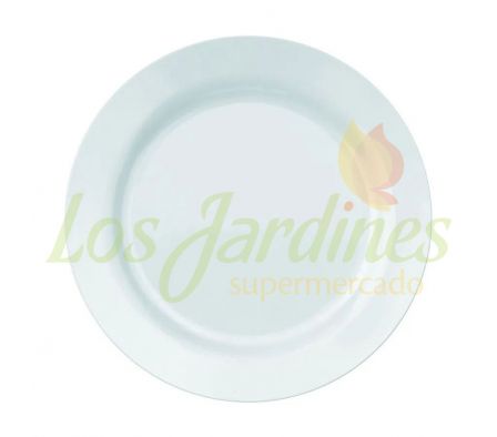 PLATO BLANCO OPALINE PLAYO 26,5 CM REF.5543-