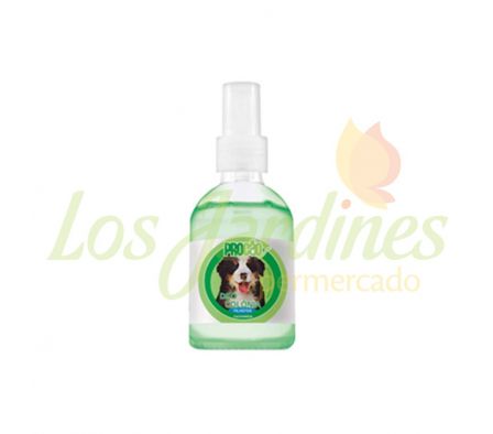 COLONIA CACHORROS PROCAO FEMEA