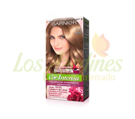 TINTE GARNIER COLOR INTENSO RUBIO CENIZA 7.1