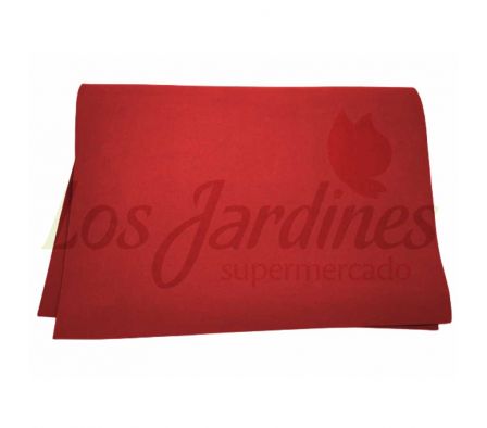 TALBOT GOMA EVA LISA 40X60X2MM ROJO T08845