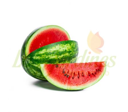 SANDIA BABY X KG